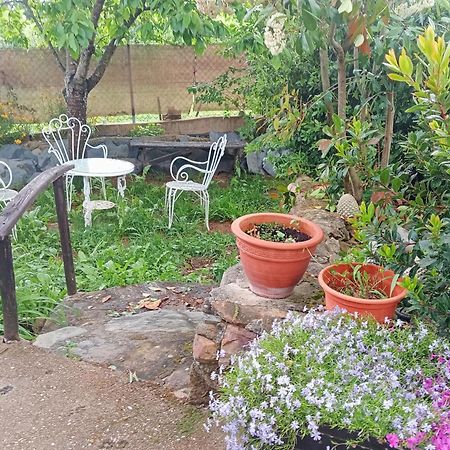 Casa Do Duende Villa Tejedo Екстериор снимка