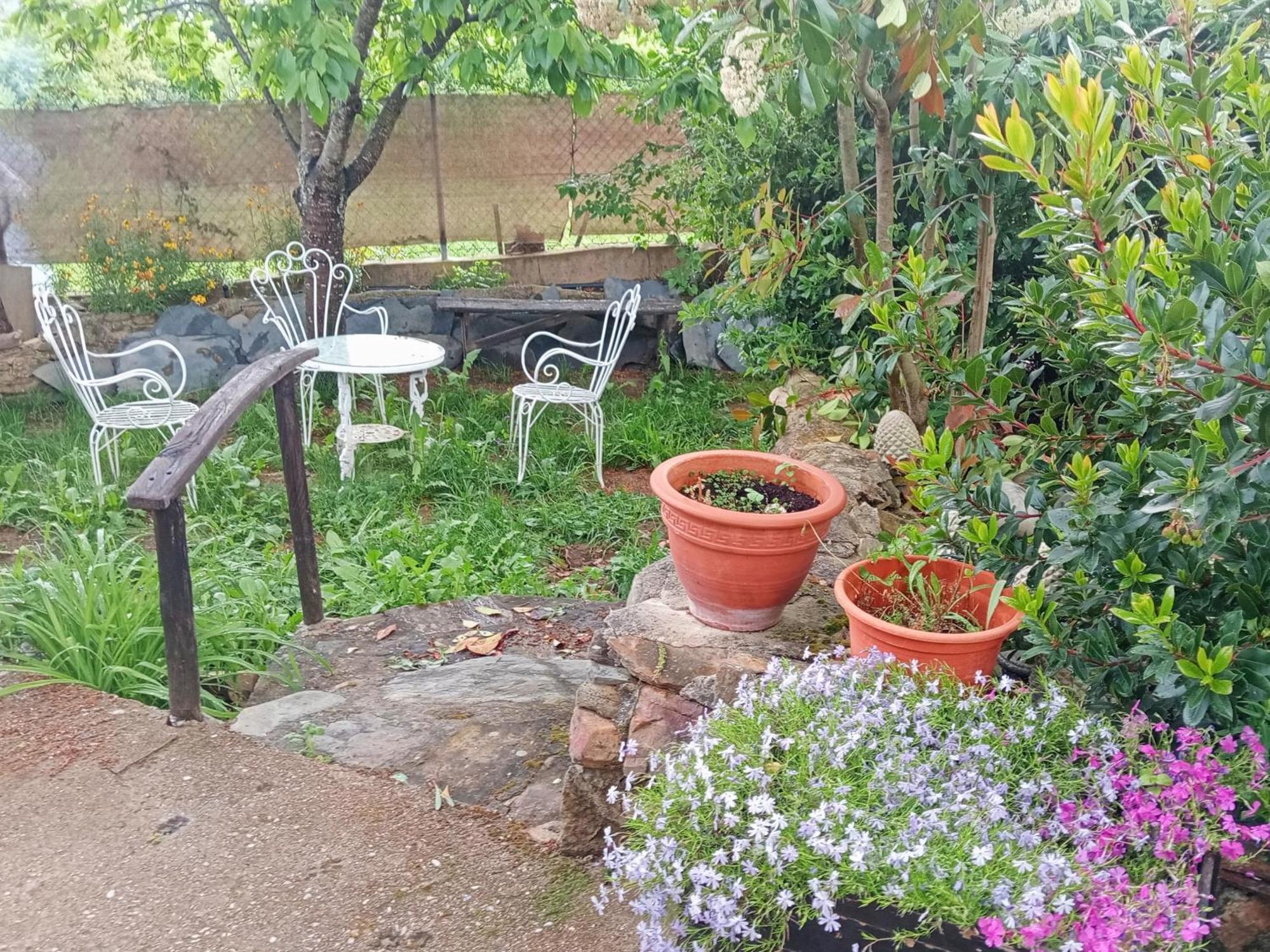 Casa Do Duende Villa Tejedo Екстериор снимка
